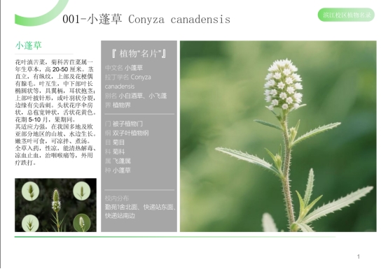 博彩投注