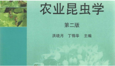 博彩投注