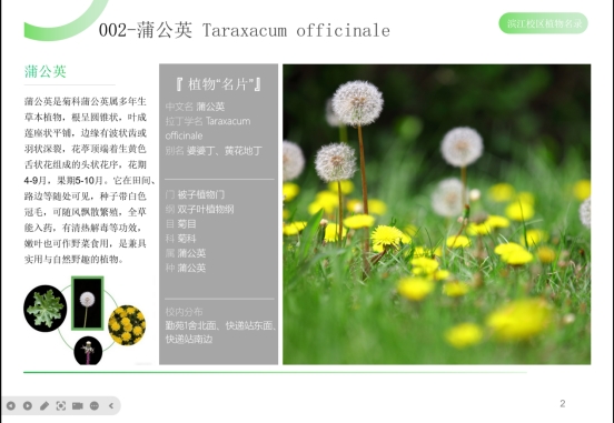 博彩投注
