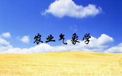 博彩投注
