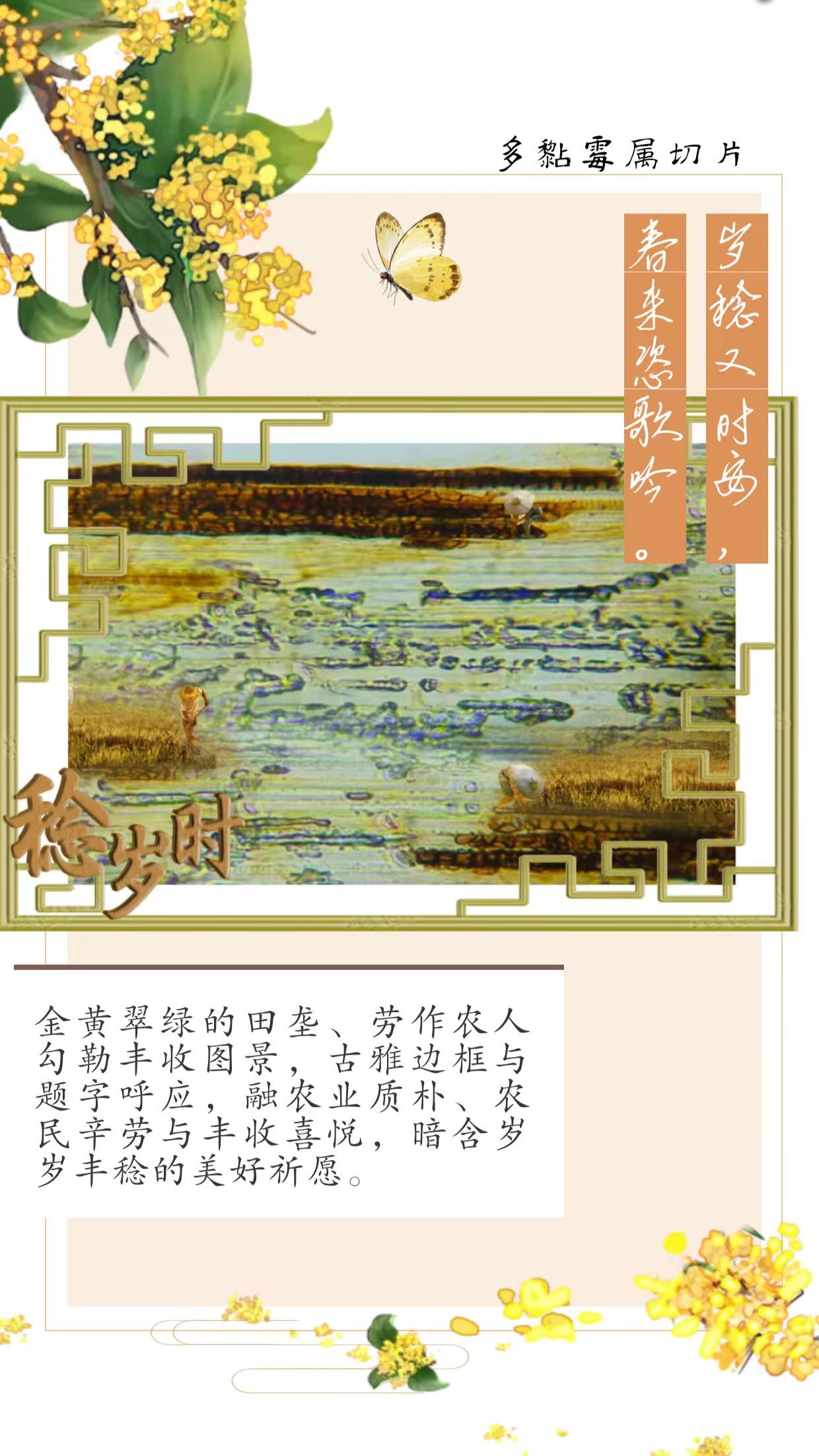 博彩投注