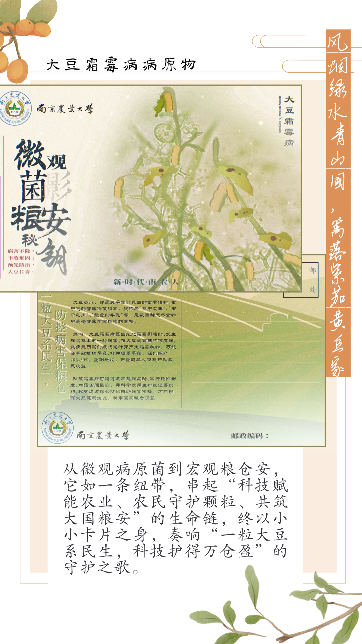 博彩投注