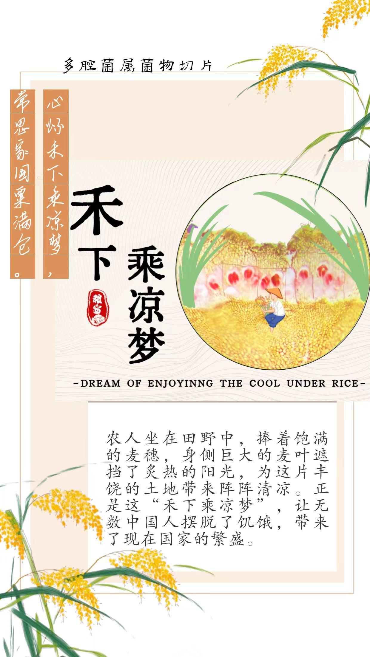 博彩投注