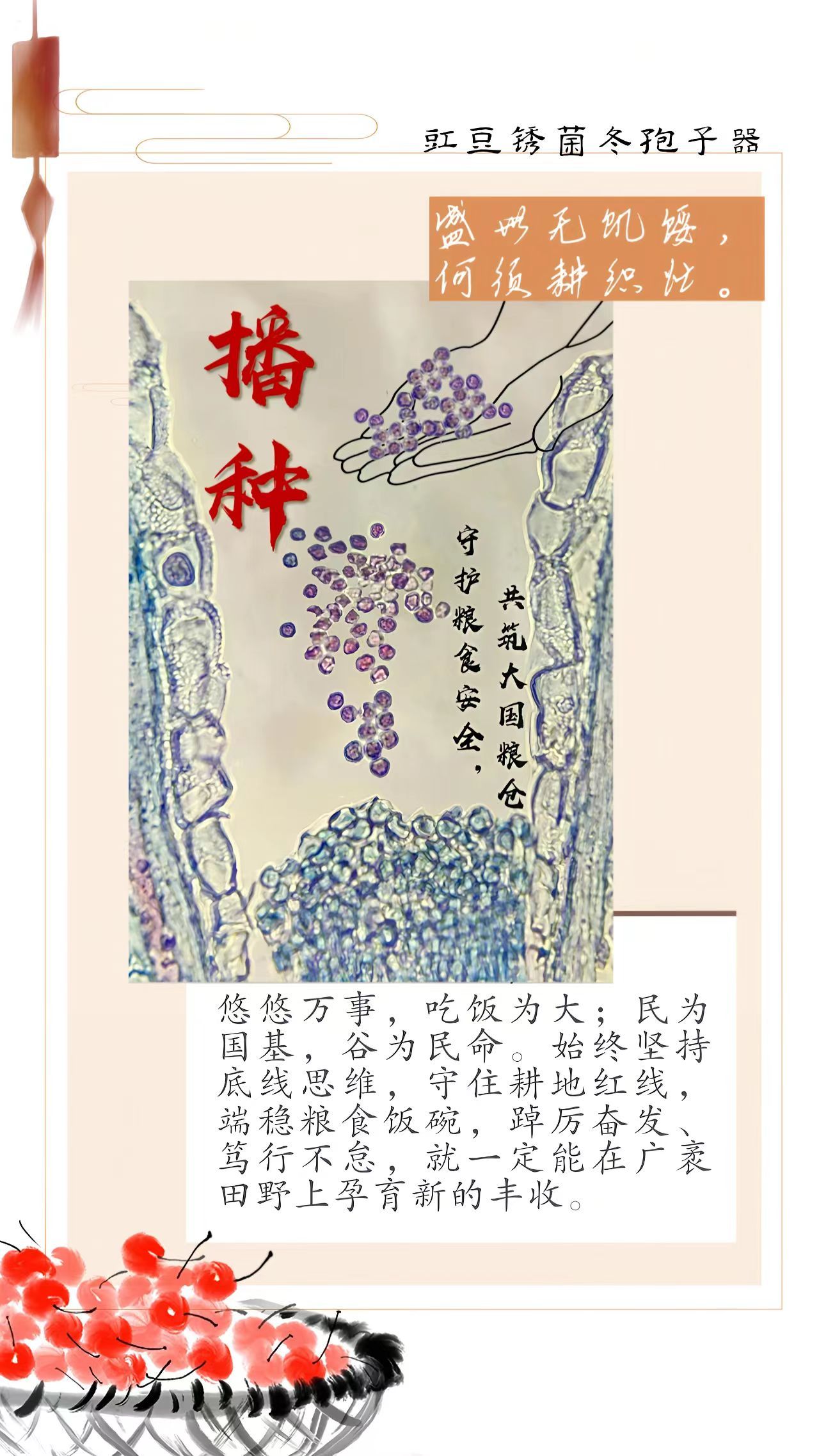 博彩投注