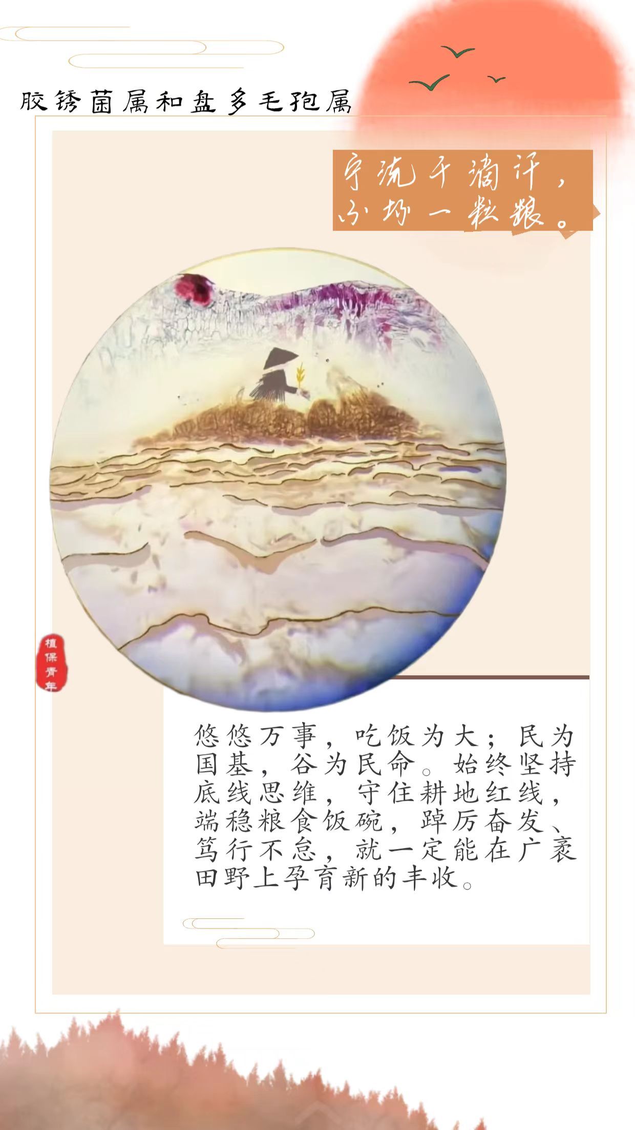 博彩投注
