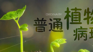 博彩投注