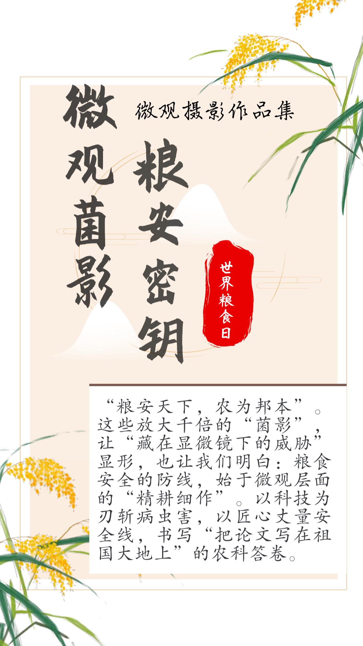 博彩投注