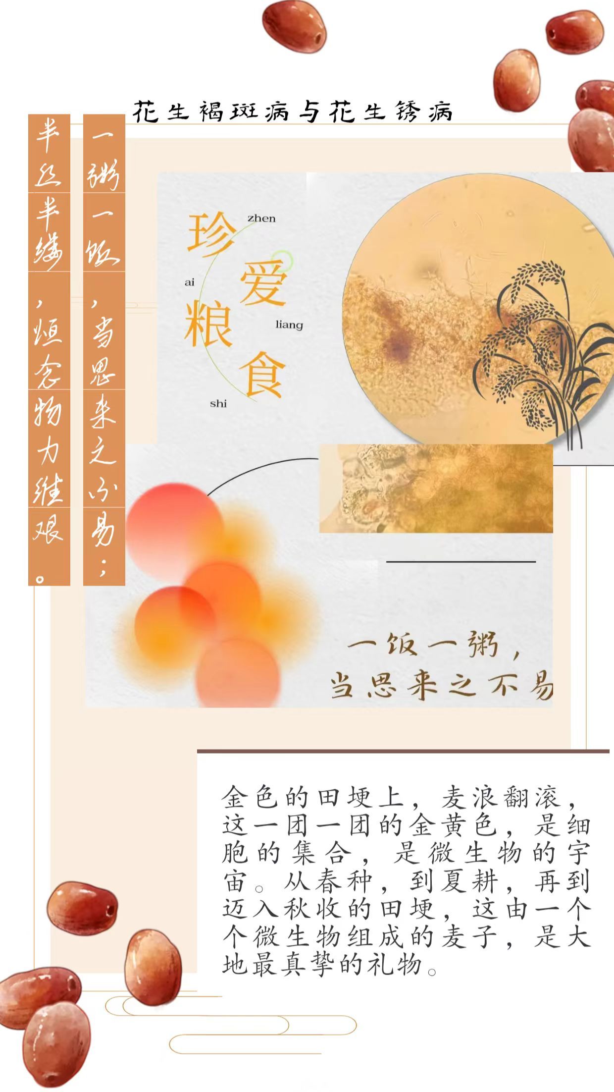 博彩投注