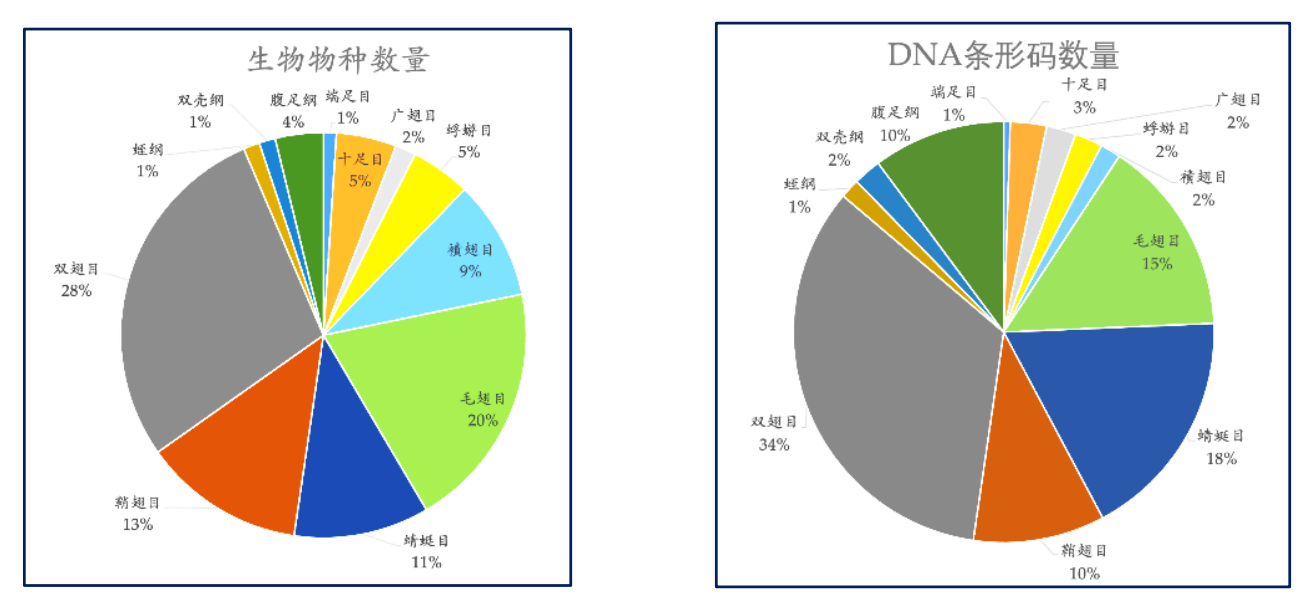 博彩投注