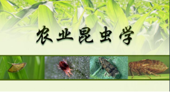 博彩投注