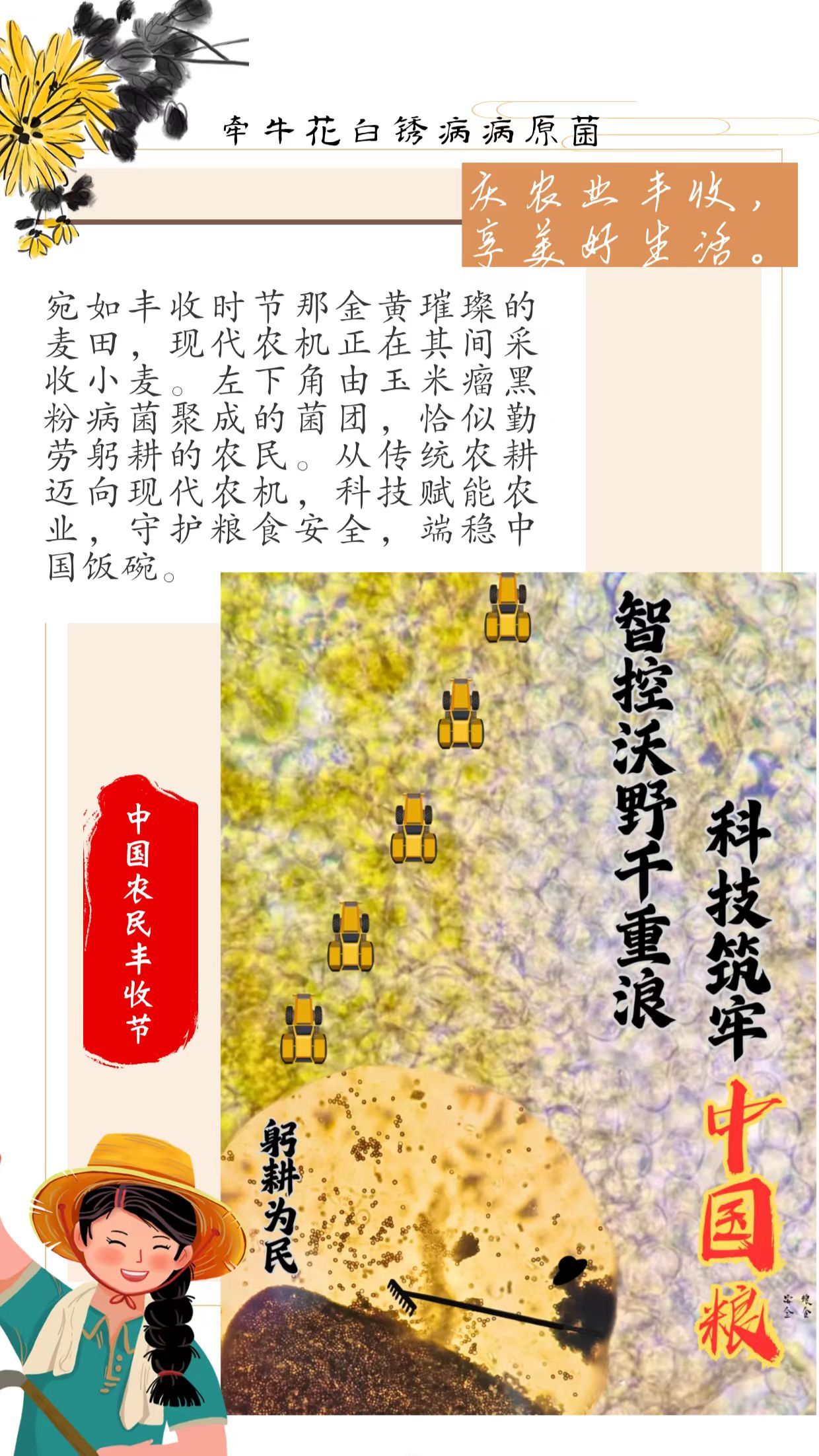 博彩投注